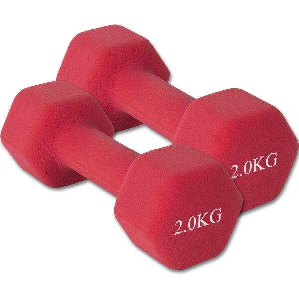 Dumbbells สำหรับลดไขมันต้นแขน ออกกำลังกาย ฟิตเนส 2 Kg. 1 ชิ้น