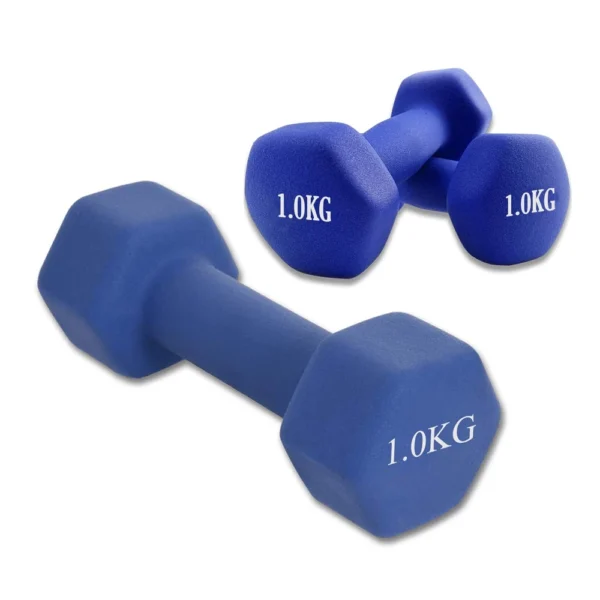 ดัมเบล Dumbbells 1 กิโล